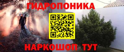 ешки Лесосибирск