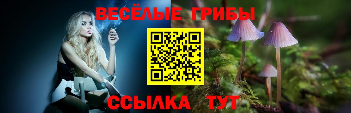 Галлюциногенные грибы мицелий  наркотики  Зеленодольск  Галлюциногенные грибы ЛСД  Вход с VPN 